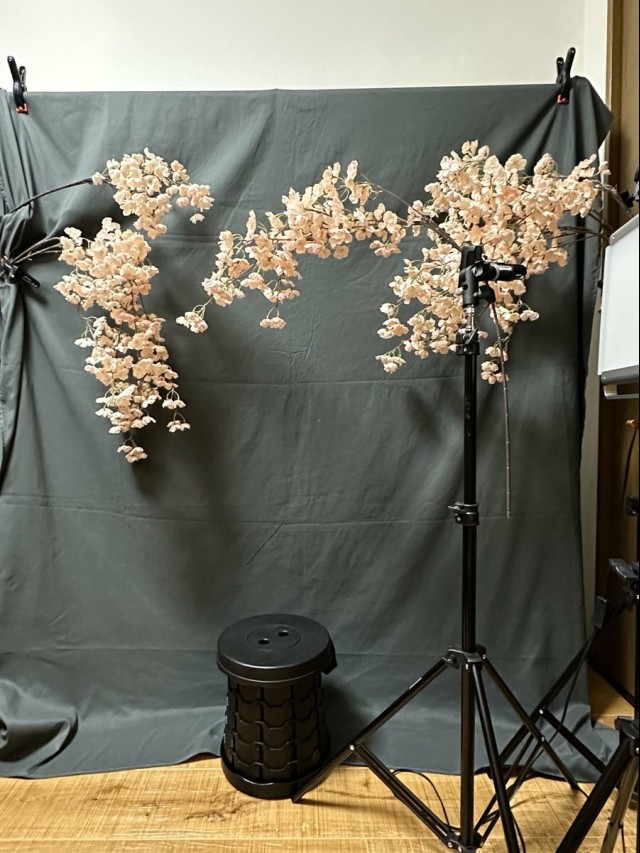 今年の宅コス桜セットよろしくご査収下さい…！数年前にDAISOで買った桜の造花と毎度お馴染みiPhoneポトレモードが良い仕事をしたのでした。夜中撮影でバストアップの時は大体座ってるw眠くなるんだものw